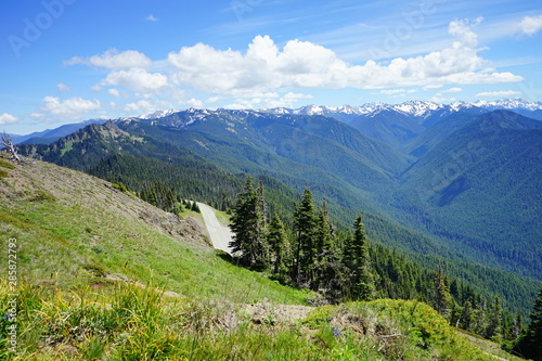 Beautiful mountains in Olympic National Park in summer in Washington, near Seattle © Feng