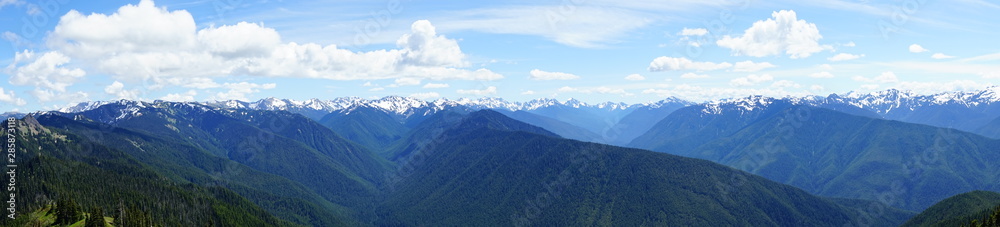 Beautiful snow capped mountains in Olympic National Park in summer in  Washington, near Seattle