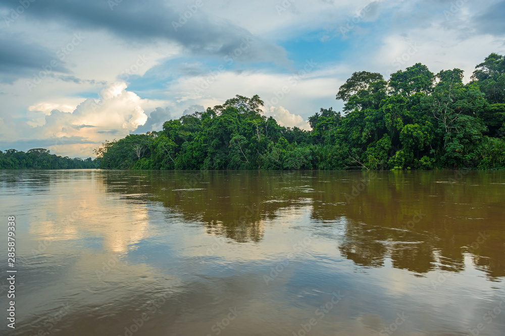 Landscape of the Amazon tropical rainforest along the Aguarico river inside the Cuyabeno Faunistic Reserve near Lago Agrio, Ecuador, South America.