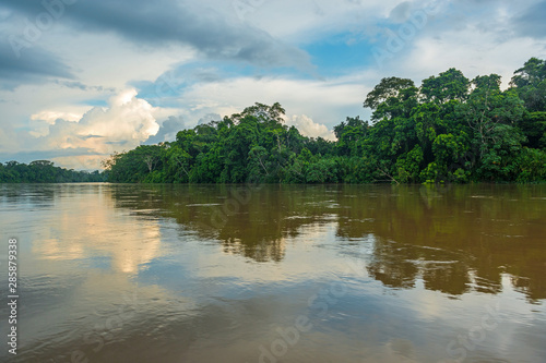 Landscape of the Amazon tropical rainforest along the Aguarico river inside the Cuyabeno Faunistic Reserve near Lago Agrio, Ecuador, South America. photo