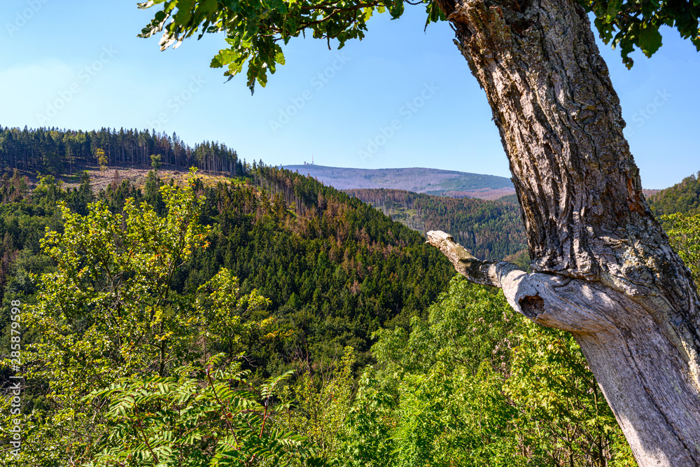 Ilsestein im Nationalpark Harz