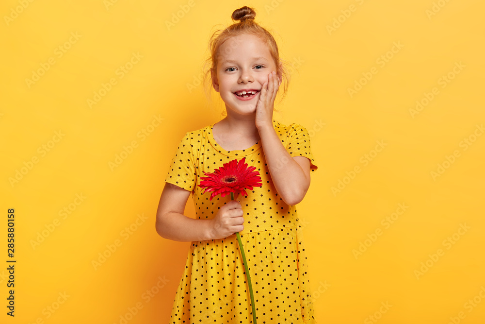 Happy little child with ginger hair bun, touches gently cheek, wears fashionable yellow polka dot dress, holds red gerbera, wants to give flower for her mommy, has cheerful expression. Bright colors - obrazy, fototapety, plakaty 