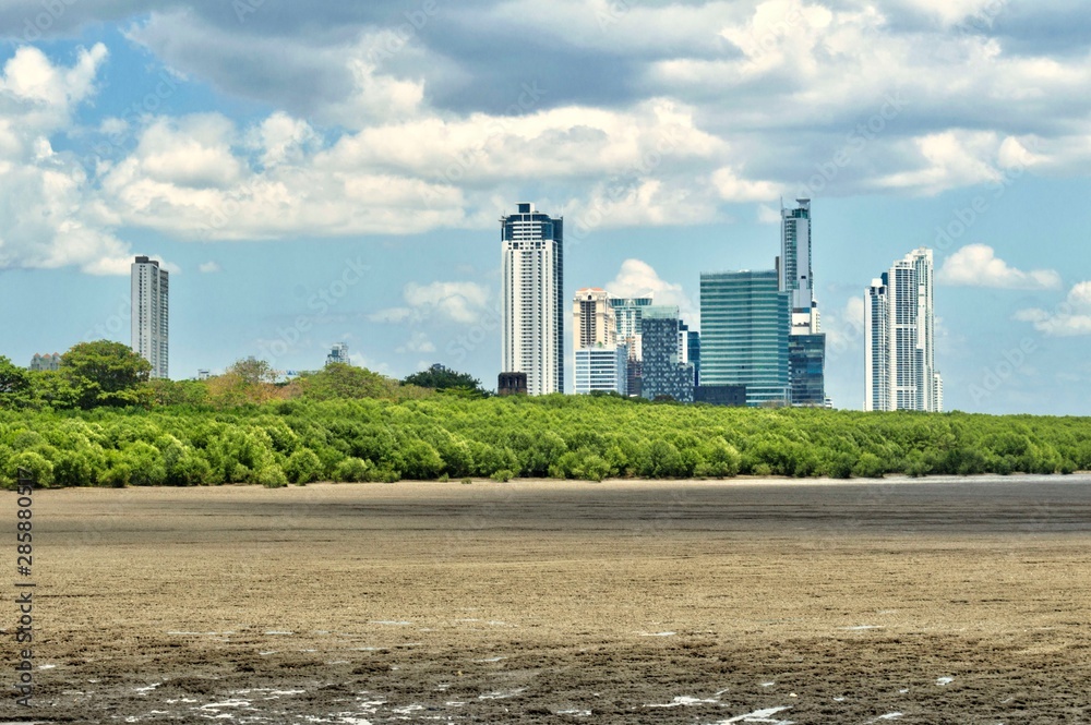 Vista panorámica del horizonte moderno de la ciudad de Panamá con modernos edificios de gran altura. Vista desde el viejo Panamá con una zona boscosa y rocosa en primer plano.