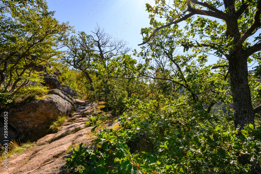 Harz, Nationalpark, Wälder und Berge in Sachsen Anhalt