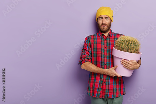 Displeased young male botanist holds big pot of cactus, wears checkered shirt and yellow hat, has no wish to care about house plant, stands against violet studio wall with copy space on left side photo