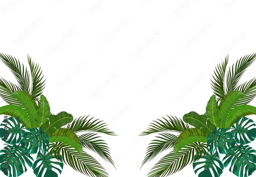 The green leaves of the tropical palm trees are symmetrical on the sides. Monstera, agave, banana. illustration
