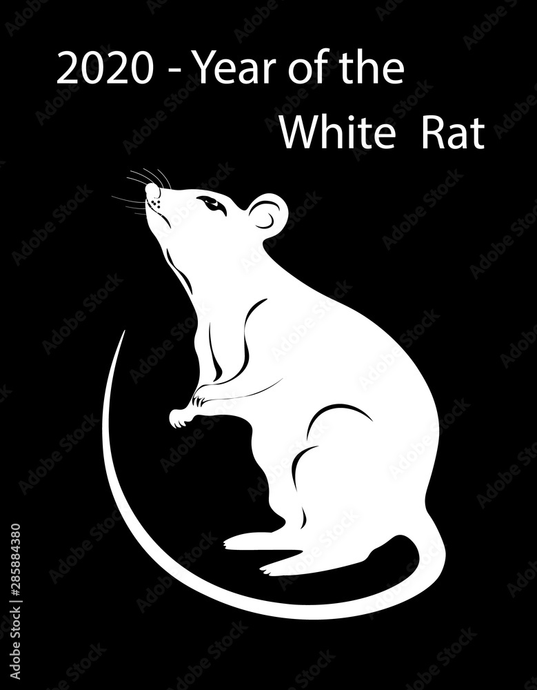 The white metal rat is the symbol of the Chinese New Year 2020. illustration The white metal rat is the symbol of the Chinese New Year 2020. illustration