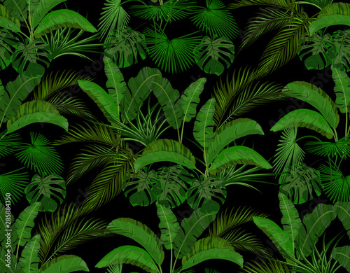 Fototapeta Naklejka Na Ścianę i Meble -  Green leaves of tropical palm trees. Monstera, agave, banana. Seamless on the black background. illustration