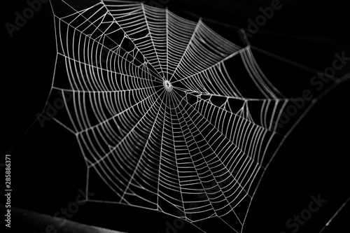 Obraz na płótnie Spider web with colorful background