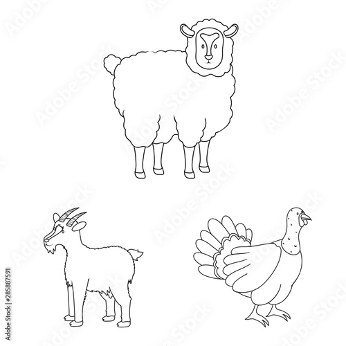 Isolated object of homemade and countryside logo. Set of homemade and agriculture stock symbol for web.