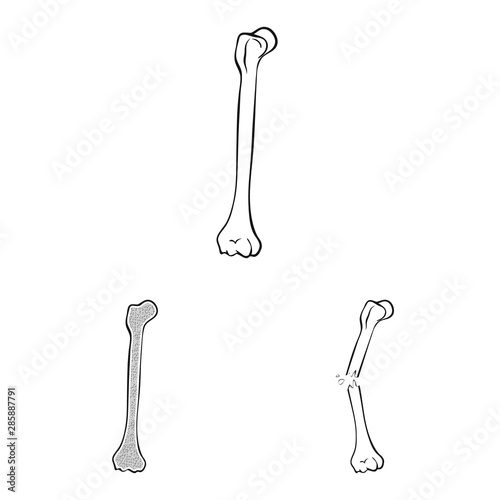 Vector design of medicine and clinic sign. Collection of medicine and medical stock symbol for web.