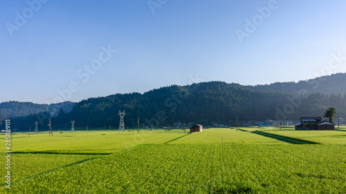 田園風景