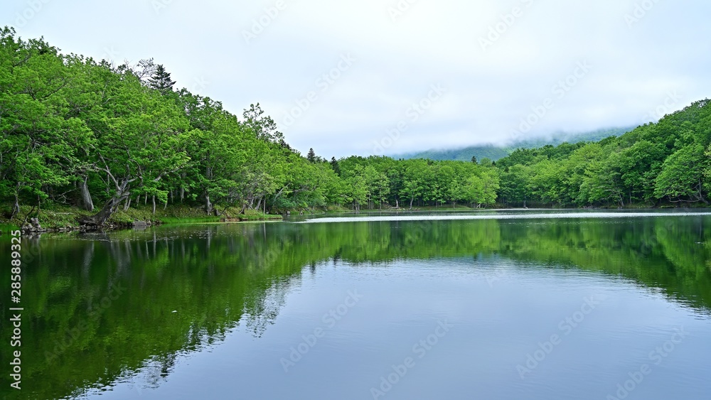 遊歩道から見た知床五湖の情景@北海道 遊歩道から見た知床五湖の情景@北海道