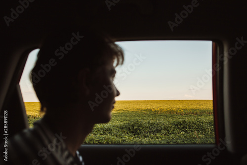 The view from the car window on the field with sunflowers.The guy looks out of the car window on the field