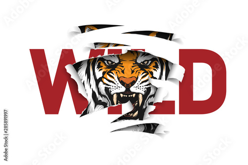 wild slogan ripped off with tiger
