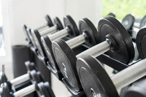 Rows of dumbbells in the gym.