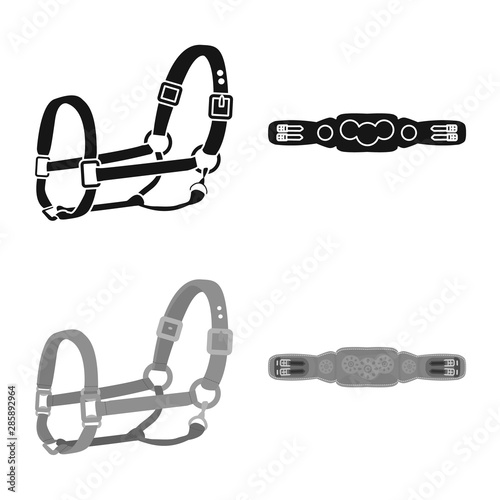 Isolated object of equipment and riding symbol. Set of equipment and competition stock symbol for web.