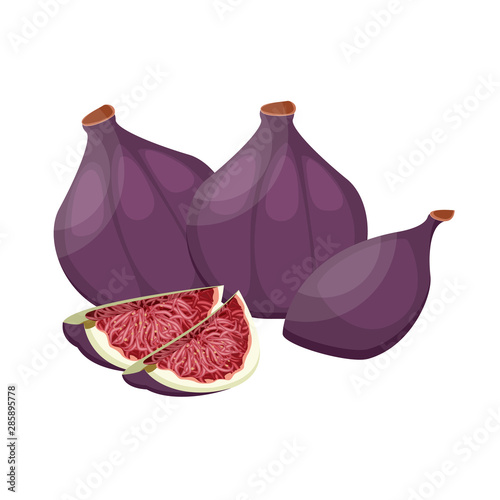 Fresh ripe delicious juicy figs whole and cut in half and quarter. Vector illustration.