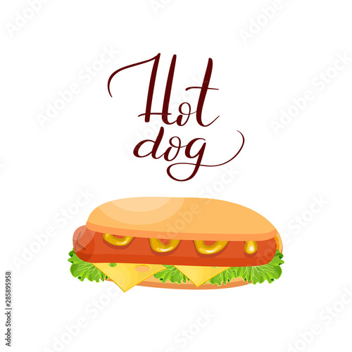 Hotdog. Vector isolated flat illustration fast food for poster  menus  brochure  web and icon fast food. Vector.