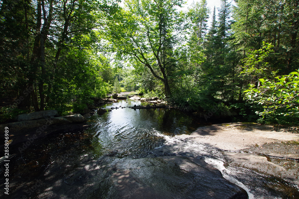 Obraz premium Nature du parc national de la Mauricie au Québec