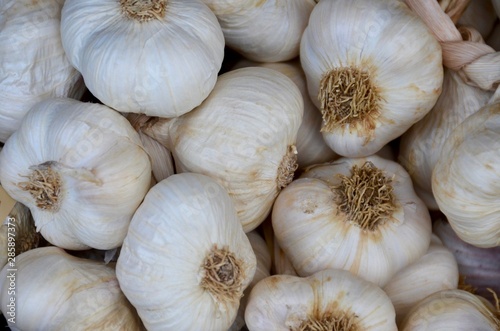 A pile of garlic bulbs