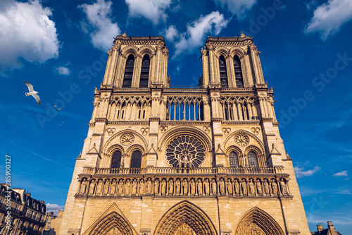 Notre Dame de Paris cathedral with seagulls flying over it, France. Notre Dame de Paris Cathedral, most beautiful Cathedral in Paris. Cathedral Notre Dame de Paris, destroyed in a fire in 2019, Paris.