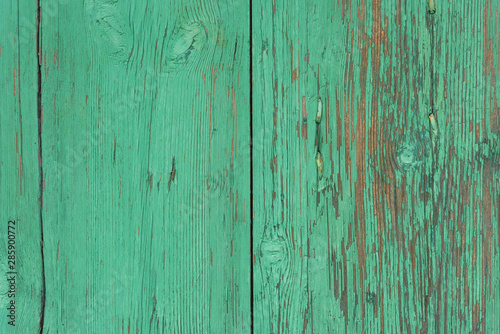 Wooden background with green peeling paint, copy space, vintage