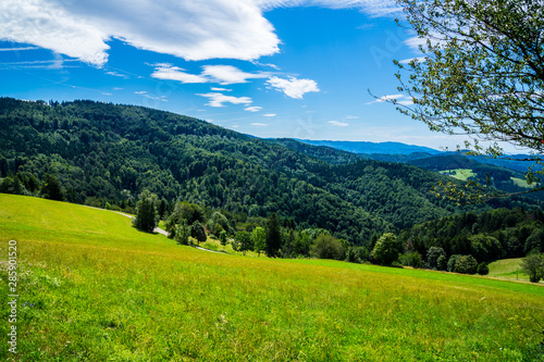 Germany, Beautiful endless view over black forest trees under blue sky in summer near freiburg im breisgau, perfect vacation region for hiking
