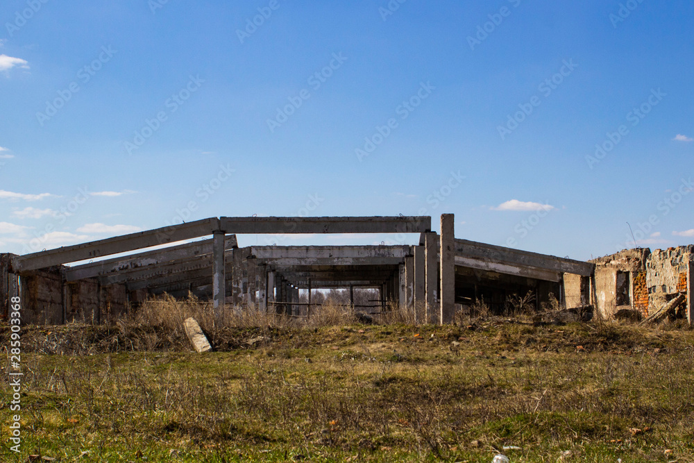 destroyed cow farm after the financial crisis