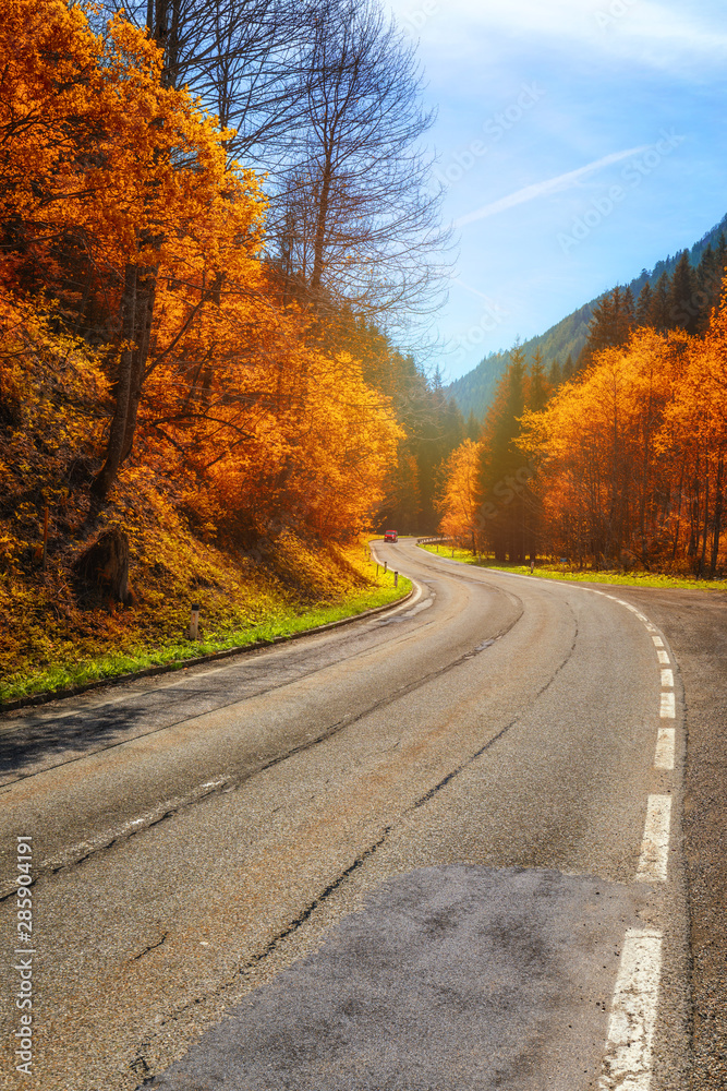 Autumn forest. Beautiful forest with country road at sunset. Colorful landscape with trees, rural road, orange and red leaves, sun. Travel. Autumn background. Amazing forest with vibrant foliage
