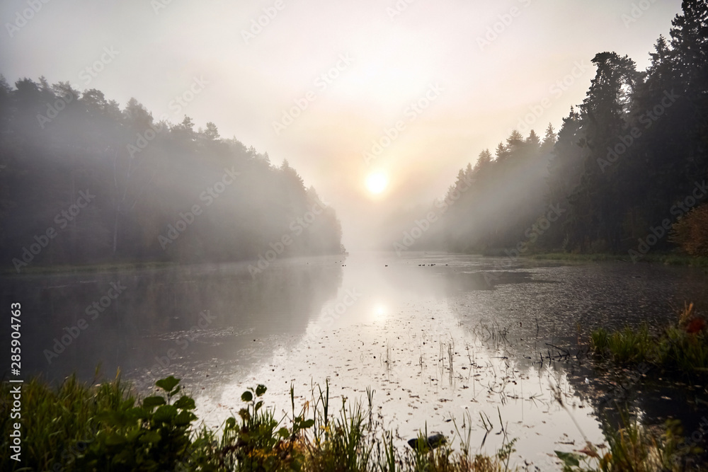Rising sun in the morning fog. Dawn over the forest lake. Foggy sunrise. Reflections of trees in the water