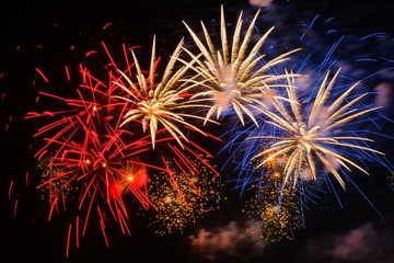 Colorful fireworks in night sky