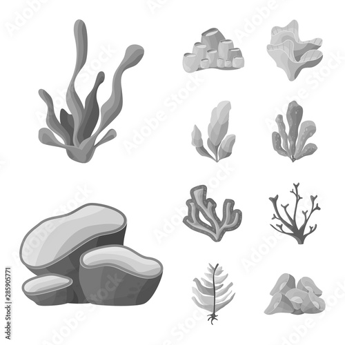 Vector design of botanical and flora symbol. Set of botanical and nature stock symbol for web.