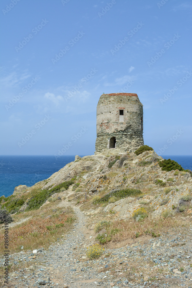 The Tower of Agnellu, a Genoese tower located in the commune of Rogliano (Haute-Corse). Sentier des douaniers. Corsica, France