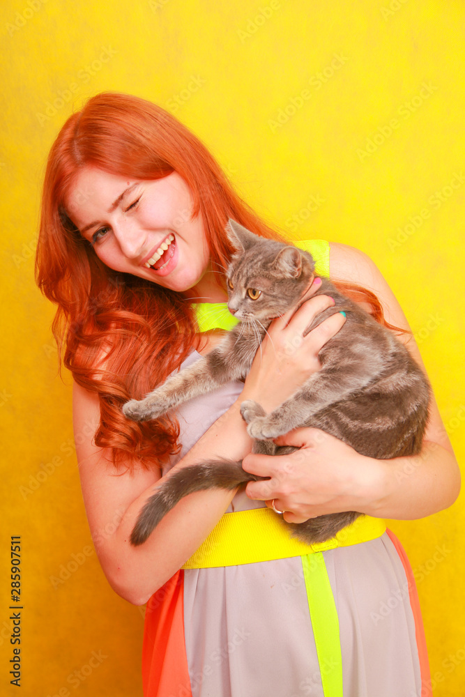 pretty young redheaded girl in long colorful summer dress with her lovely friend grey cat on yellow bright studio background