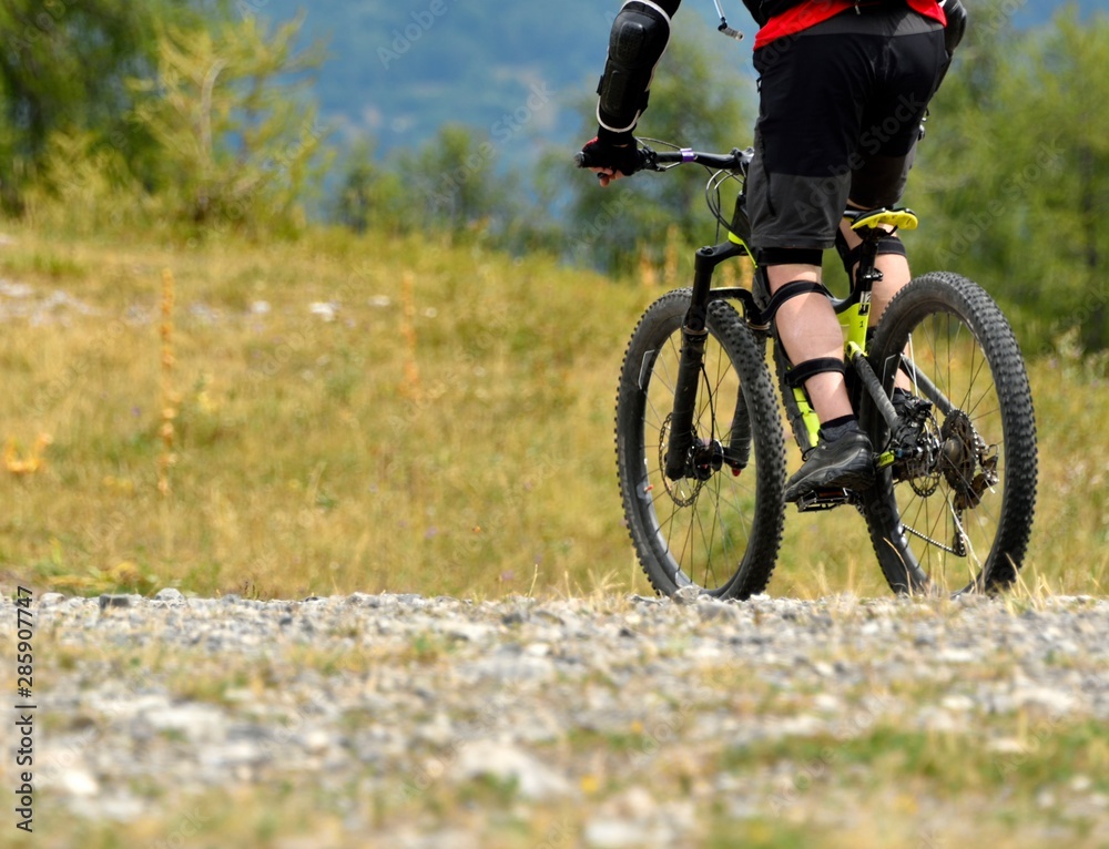 Naklejka premium Vététiste