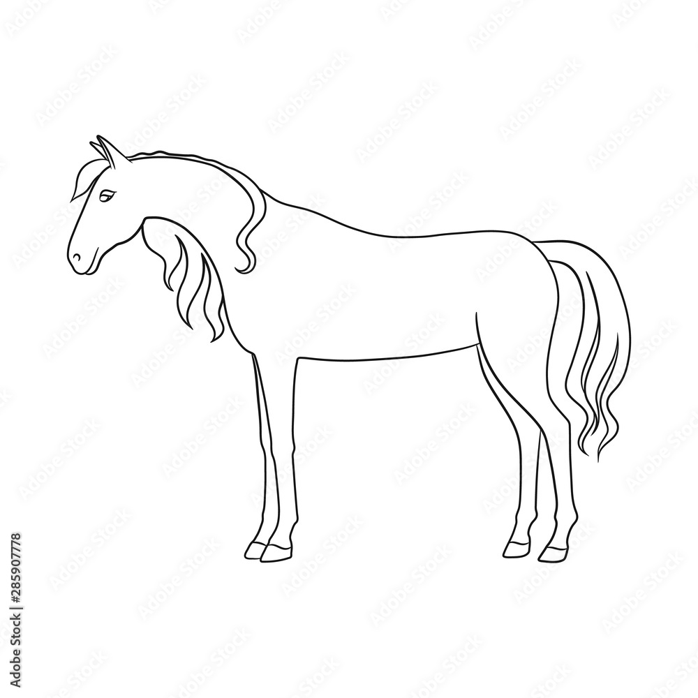 Isolated object of horse and stand symbol. Set of horse and wildlife stock vector illustration.