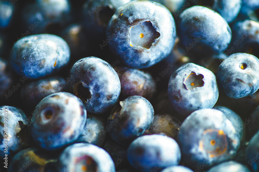 Fresh Blueberries Straight from the Farmers Market Fresh Blueberries Straight from the Farmers Market
