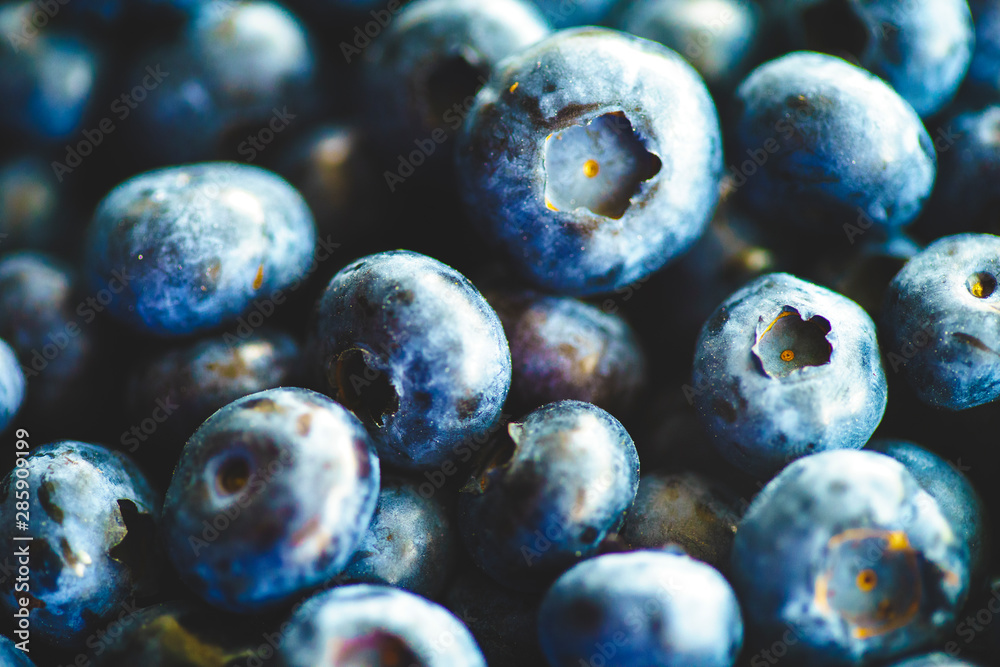 Fresh Blueberries Straight from the Farmers Market Fresh Blueberries Straight from the Farmers Market