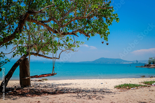 tree on the beach © Thirawadee