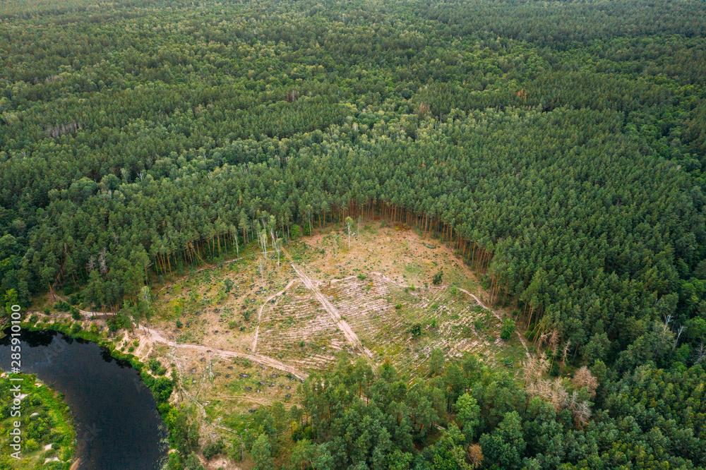 Aerial View Green Forest Deforestation Area Landscape. Top View Of Beautiful European Nature From High Attitude In Summer Season. Drone View. Bird's Eye View