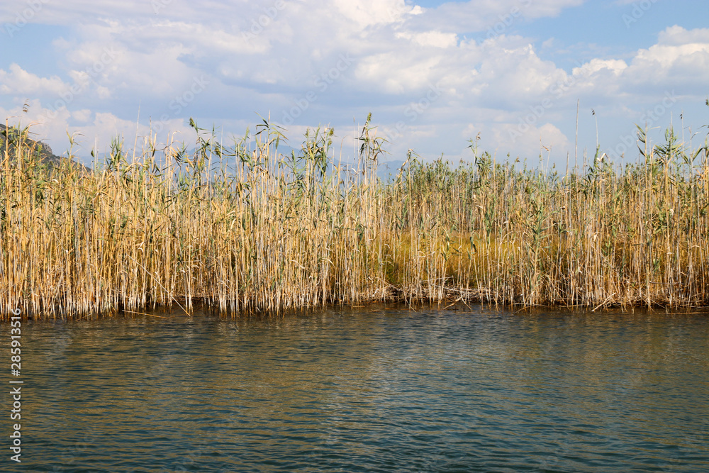 Boat tour on the river - dalyan iztuzu beach Boat tour on the river - dalyan iztuzu beach