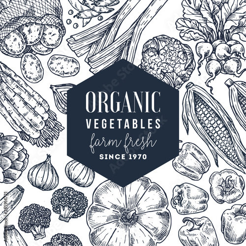 Farm vegetables design template. Top view. Growing concept. Organic fresh vegetables. Summer food concept. Vector illustration