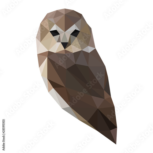 Low poly illustration of owl
