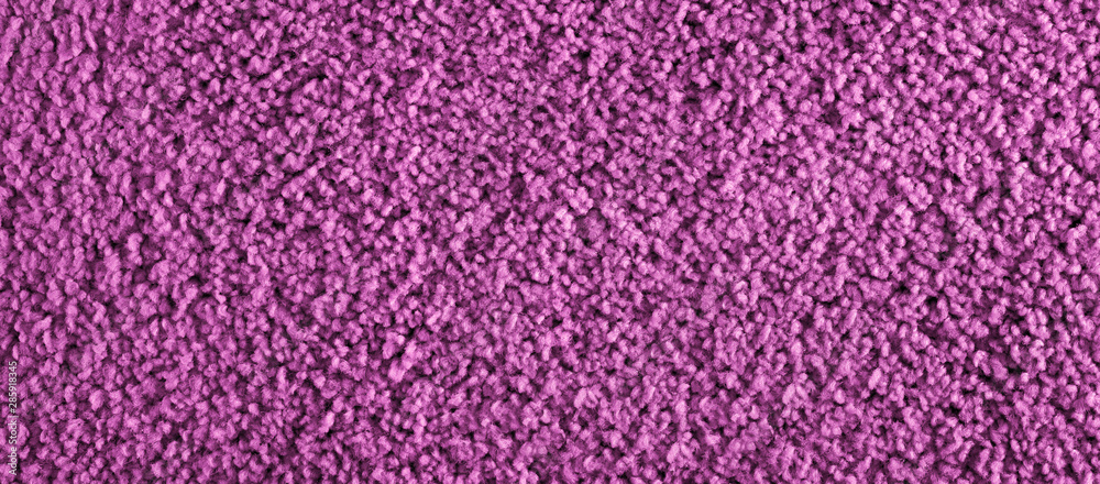 Fototapeta premium Texture of purple carpet. Panorama. View from above.