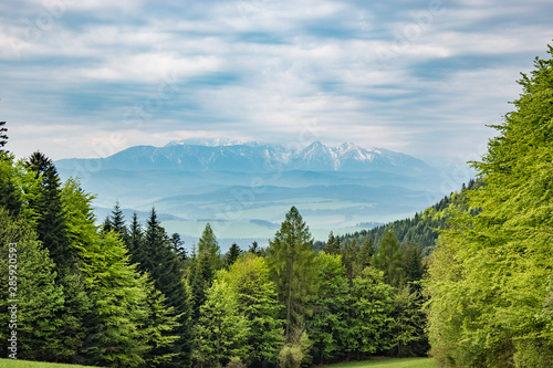Fototapeta Naklejka Na Ścianę i Meble -  Przełęcz Szopka