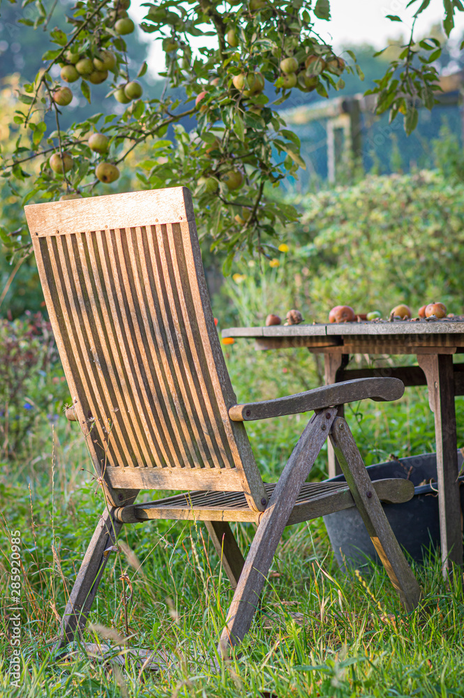 Sitzplatz unterm Apfelbaum