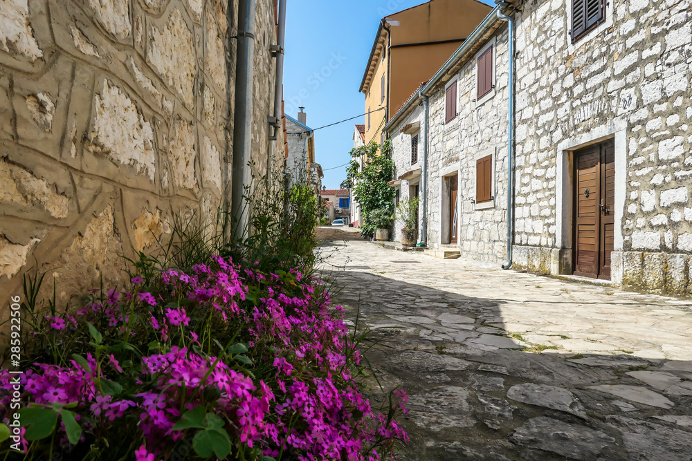A little cobbles street in a Mediterranean country. The houses on both sides are made of stone. Beautiful window shutters. There are violet flowers growing next to a house. Clear and sunny day.
