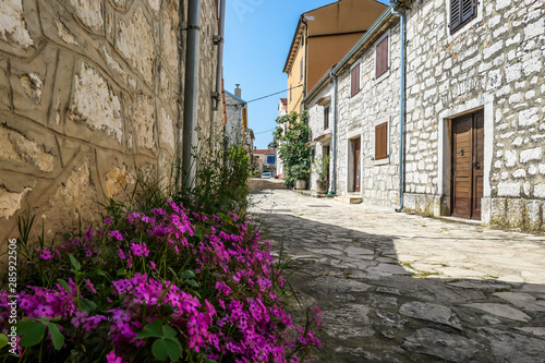 A little cobbles street in a Mediterranean country. The houses on both sides are made of stone. Beautiful window shutters. There are violet flowers growing next to a house. Clear and sunny day. © Chris