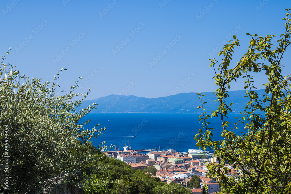 Rijeka city landscape view in Croatia, Fiume city with the sea view and olive trees - Image